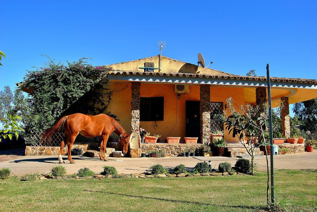 Agriturismo Monte Majore Siliqua Екстериор снимка