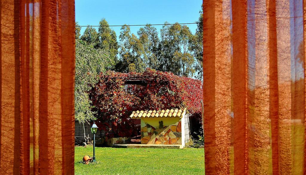 Agriturismo Monte Majore Siliqua Екстериор снимка